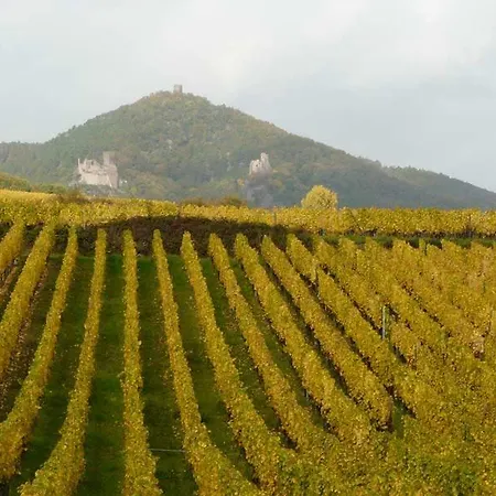 Apartment Chez Fretz Ribeauville (Haut-Rhin)